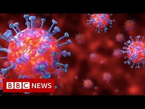 Coronavirus explained in 60 seconds – BBC News