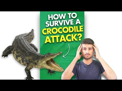 What if a Crocodile Bites You?