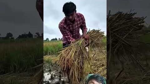Sad Song….. #sadshort || #harshpushptode #kishan #bapukisanhai #desi #village