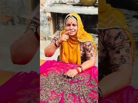 राजस्थान की देसी सब्जी पंचकुटा में यह भी काम आते हैं #desi #राजस्थान #सब्जी #anitabishnoi #marvel