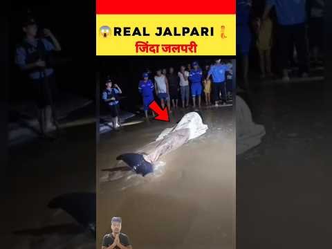 Real Jalpari 😱 जिंदा जलपरी 🧜#viral #hindi #facts #ytshorts #trendingshorts #shorts