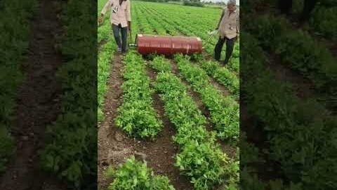 Amazing Desi Jugaad by Farming #Desi #Jugaad #Jugad #Farming #Kheti #Khetibadi #Agriculture #ideas