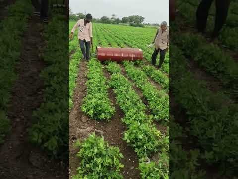 Amazing Desi Jugaad by Farming #Desi #Jugaad #Jugad #Farming #Kheti #Khetibadi #Agriculture #ideas