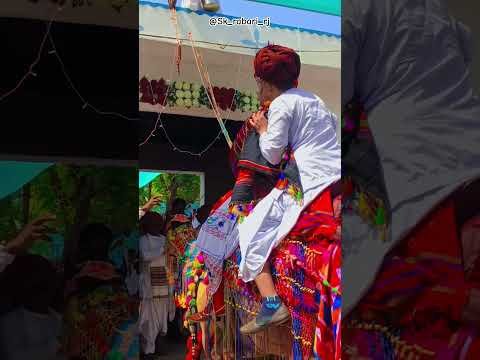 Vivah Culture ✨️ #rabari #weeding #culture #Rajasthani #Desi #Weeding #song #views #like #subscribe
