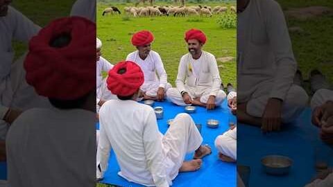 Rajasthan #marwadi #viral #desi #rajasthani #life #trending #video #trend #dewasi #shorts #like