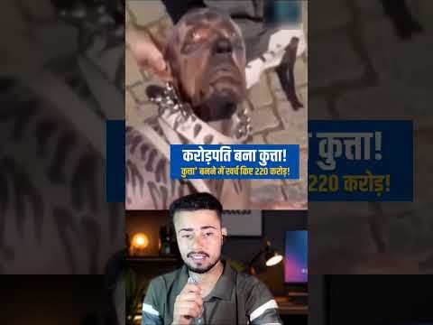 The Truth Behind Viral Dog Man Video