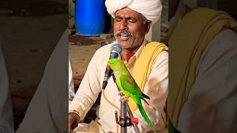 Bhajan Sandhya #rajasthani #desi #marwadi #song #shorts #yt #gav #dance #vlog #village #reels
