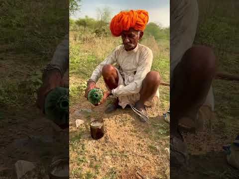 पहली बारिश में दोपहर की चाय ☕️ #desi #villagelife Rajthani #youtubeshorts #viral