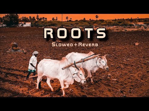 ROOTS – Slowed and reverb song