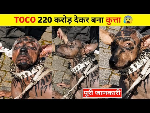 Toco Japanese Dog Man | Insaan Bana Kutta 220 Crore | Aadmi Bana Kutta News Real Or Fake