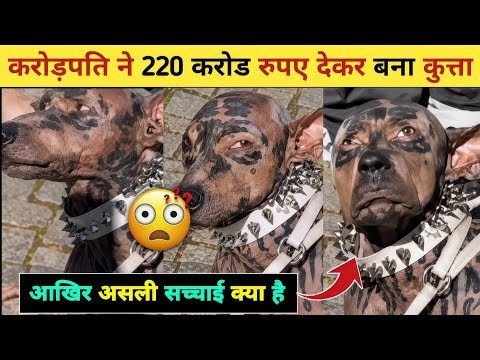 Insaan Bana Kutta News🤯| Crorepati Bana Kutta| Insaan Bana Kutta| Insaan Bana Kutta News Reality