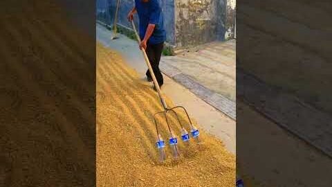 Grandpa’s Bottle Jugaad?! 🧴🌾😂 A Crazy Desi Farming Hack! #DesiJugaad #BottleHack #FunnyStory