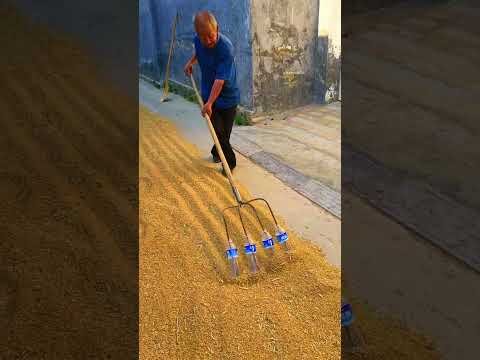 Grandpa’s Bottle Jugaad?! 🧴🌾😂 A Crazy Desi Farming Hack! #DesiJugaad #BottleHack #FunnyStory