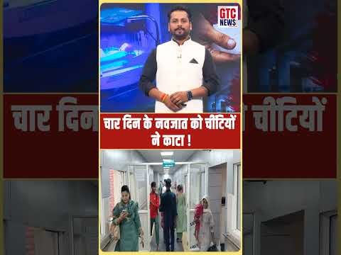 सिरसा: नागरिक अस्पताल में नवजात को चींटियाें ने काटा, VIDEO VIRAL
