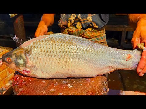 ✅Rakib fish official is live big Roi fish cutting speed desi style Bangladesh Rangamati official