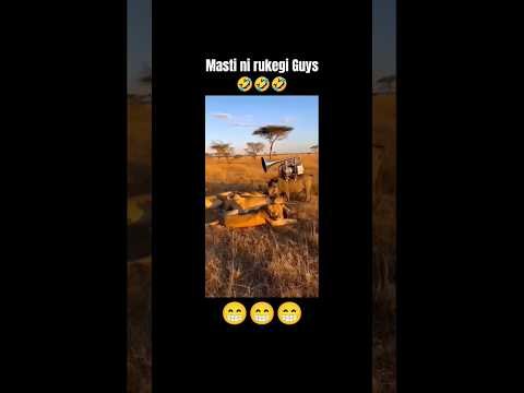 Masti mode on #comedy #comedyshorts #desicomedy #desi #funny #funnyshorts #memes #memeshorts