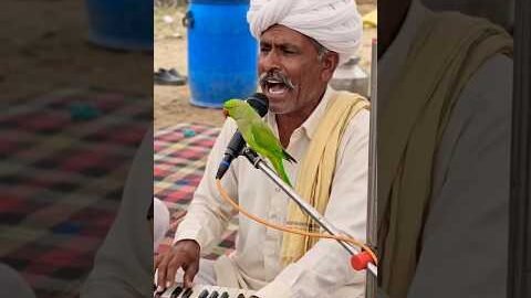 Desi bhajan 2026 #bhajan #trend #viral #dance #shorts #gav #vlogs #blog #reels #song #desi #like