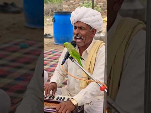 Desi bhajan 2026 #bhajan #trend #viral #dance #shorts #gav #vlogs #blog #reels #song #desi #like