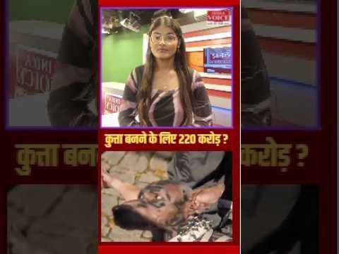 कुत्ता बनने के लिए 220 करोड़? सच आया सामने #viralvideo #japan