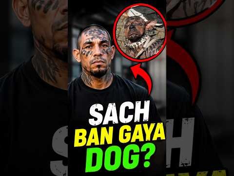 Man Turned Into A Dog? 😱 #shorts