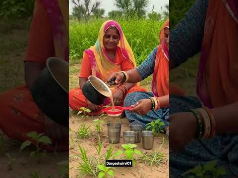 खेत की देसी चाय 😍#chai #desi #gaon #shorts #food #rajasthan #trending #viral #village #ytshorts #yt