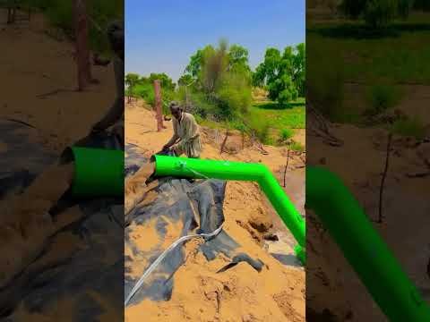 Amazing  Dise Jugaad by Farming #Desi #Jugaad #Jugad #Farming#Kheti #Khetibadi #Agriculture #water