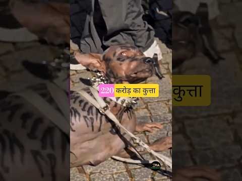 220 crore me bana kutta #viralvideo