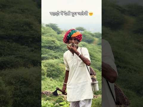 देसी दूध जलेबी 😍 #villagelife #desi #rajasthani #culture #viral