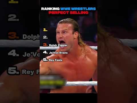 Ranking WWE Wrestlers PERFECT Selling Moments