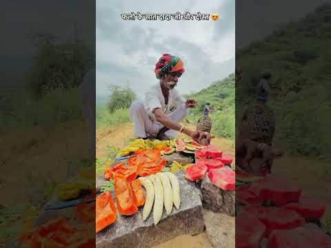 फलो के सात दादा जी और दोस्त 😍 #desi #villagelife #rajasthan #culture #sukoon