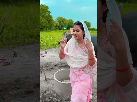 😂 #youtubeshorts #shorts #desi #trending #haryanvi #yt #cow #buffalo #punjabi