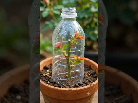 🤯 5 Amazing Desi Gardening & Home Hacks You Must Try! 🌱🏺✨ #shorts