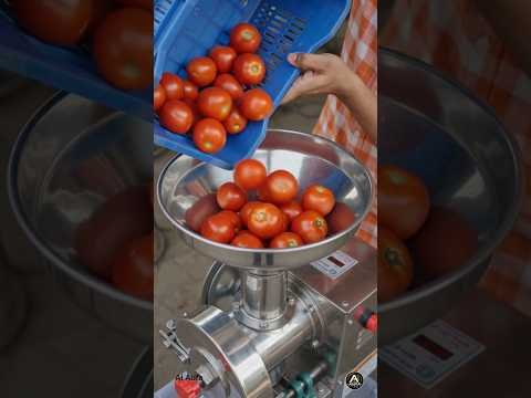 Tomato Sauce Machine सिर्फ ₹12,000 की 😱 | Desi Jugaad #ShortsTomatoSauce #ytshorts #FoodProcessing