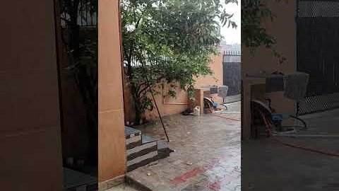 #youtubeshorts #desi