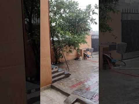#youtubeshorts #desi