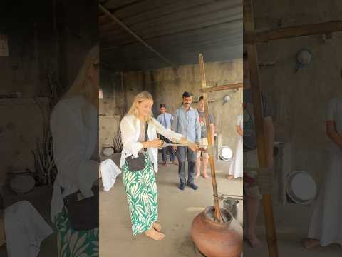 राजस्थान की मनवार ✨💕#shorts #ytshorts #reels #desi #desilifestyle #food #milk #america #foreigners