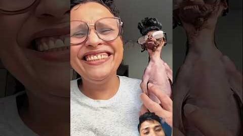 🤠Animals reaction short video. #gym #usa #animalsreaction# #trending #viral #shorts