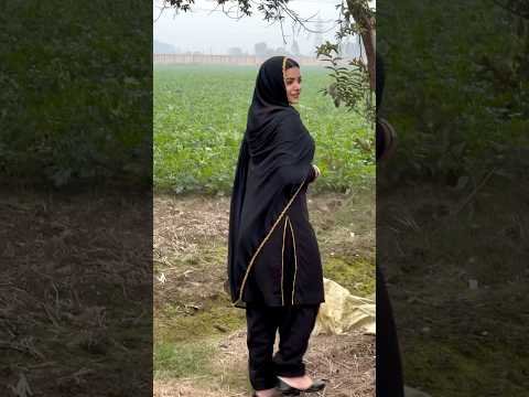Written Beautifully | Aman Cheema | Jordan Sandhu | Mxrci | New Punjabi Song 2026 #shorts