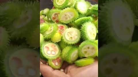#youtubeshorts #desi #kankada #recepies #shorts#reels#video