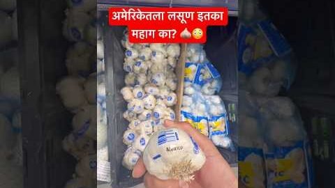 🇺🇸 अमेरिकेतला लसूण इतका महाग का? 😳 #americe #usa #marathi #desi #reels #india #life #shorts #nri