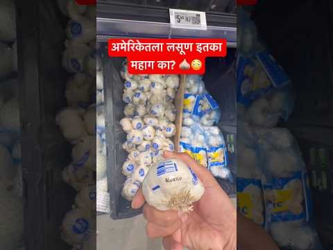 🇺🇸 अमेरिकेतला लसूण इतका महाग का? 😳 #americe #usa #marathi #desi #reels #india #life #shorts #nri