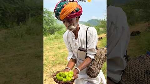 जंगल के देसी ककेडे 😍 #desi #rajasthani #villagelife #culture #food #subscribe