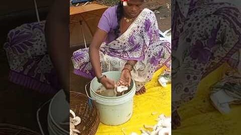 जंगली Desi मशरूम 🍄 #mushroom #Desi #Village #trendingshorts