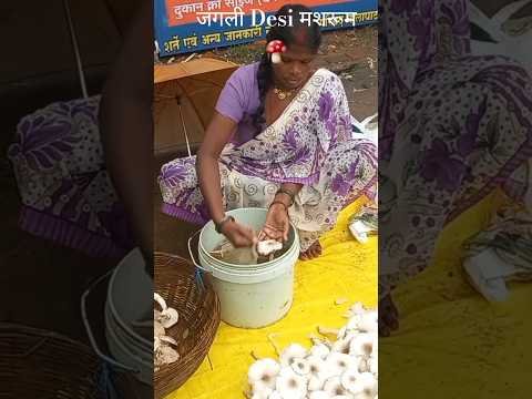 जंगली Desi मशरूम 🍄 #mushroom #Desi #Village #trendingshorts