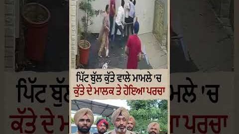 Patiala Viral Pitbull Attack – FIR Registered Against Dog Owner | Watch Video