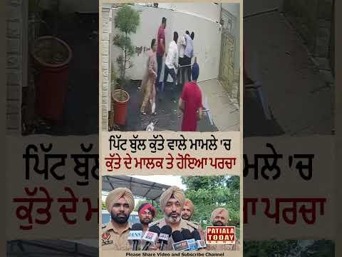 Patiala Viral Pitbull Attack – FIR Registered Against Dog Owner | Watch Video