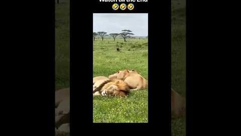 milene ko #comedy #comedyshorts #memes #desi #desicomedy #funny #funnyvideo #funnyshorts #meme #lol