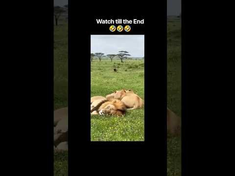 milene ko #comedy #comedyshorts #memes #desi #desicomedy #funny #funnyvideo #funnyshorts #meme #lol