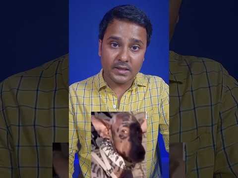 Viral “Man Turns Into Dog” Claim Is FAKE! | ₹220 Crore Dog Transformation Fact Check