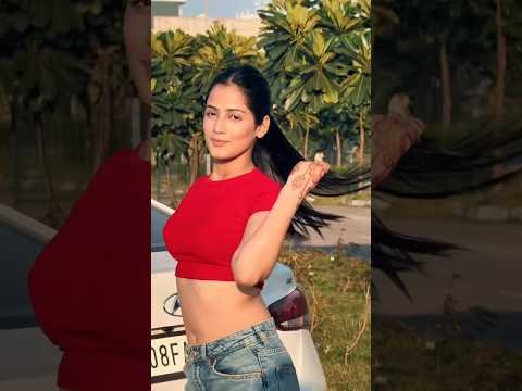Expert Jatt / Nawab / Latest Punjabi Songs 2026 / New Punjabi Song 2026 / #newpunjabisong